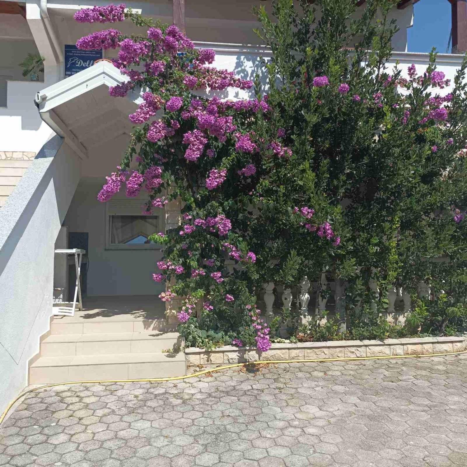 Apartments Vir Delfin Экстерьер фото