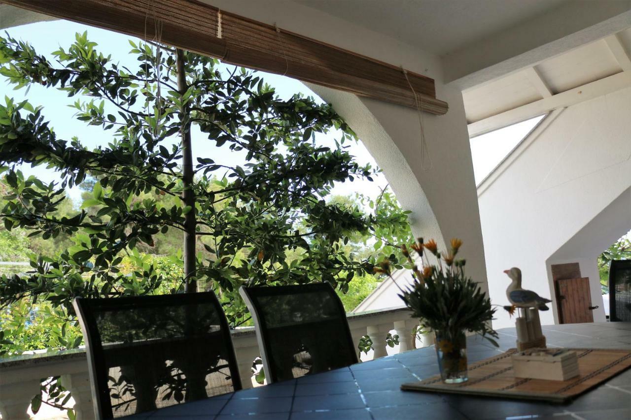 Apartments Vir Delfin Экстерьер фото